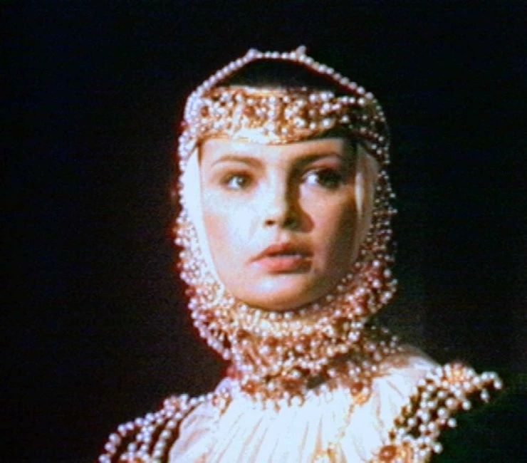 Кадр из Эпитафия для Барбары Радзивилл (1982) Кадр из Эпитафия для Барбары Радзивилл (1982)
