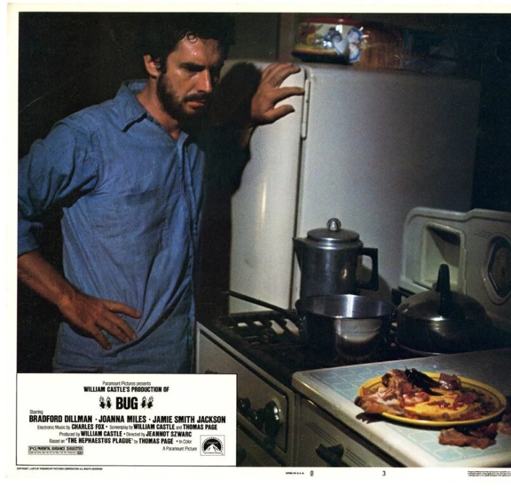Кадр из Жук (1975) Кадр из Жук (1975)