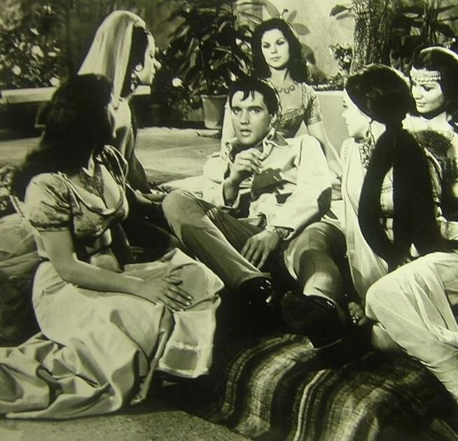 Кадр из Каникулы в гареме (1965) Кадр из Каникулы в гареме (1965)