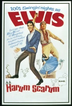 Каникулы в гареме / Harum Scarum (1965)