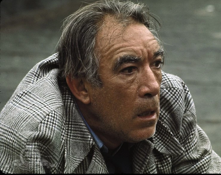 Кадр из На той стороне 110-й улицы (1972) Кадр из На той стороне 110-й улицы (1972)