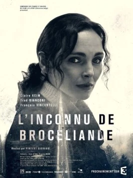 Незнакомец из Броселианда / L'Inconnu de Brocéliande (2016)