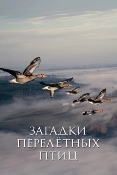 Загадки перелётных птиц / Les routes secrètes des oiseaux migrateurs (2014)