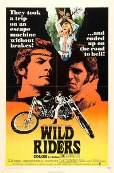 Дикие мятежники / Wild Riders (1971)