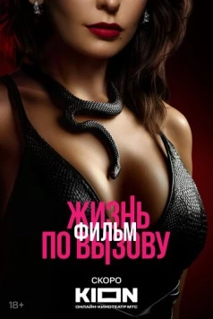 Жизнь по вызову. Фильм