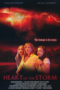 Страшнее шторма / Heart of the Storm (2004)