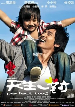 Идеальная пара / Xin Tian Sheng Yi Dui (2011)