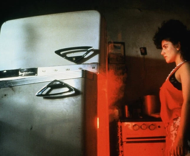 Кадр из Холодильник (1991) Кадр из Холодильник (1991)