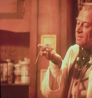 Кадр из Доктор Дулиттл (1967) Кадр из Доктор Дулиттл (1967)