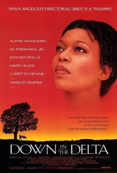 Возвращение к истокам / Down in the Delta (1998)