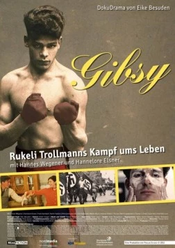 Цыган - борьба за жизнь Рукели Тролльмана / Gibsy - Rukeli Trollmanns Kampf ums Leben (2013)