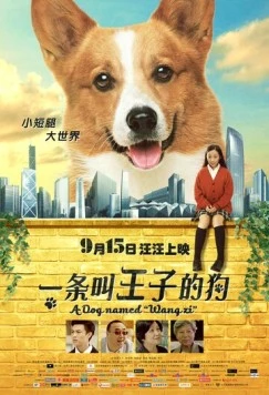 Собака по имени Принц / Ge ji Wang Zi (2016)