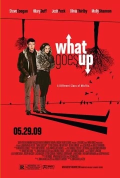 Запасное стекло / What Goes Up (2009)