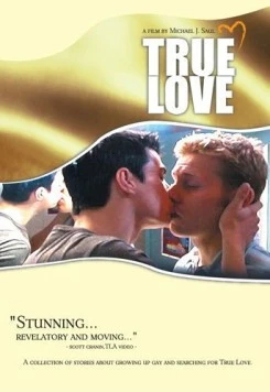 Истинная любовь / True Love (2004)