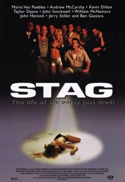 Убийственный вечер / Stag (1997)