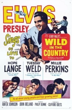 Одиночка / Wild in the Country (1961)