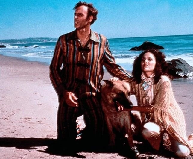 Кадр из Вон Тон Тон – собака, которая спасла Голливуд (1976) Кадр из Вон Тон Тон – собака, которая спасла Голливуд (1976)
