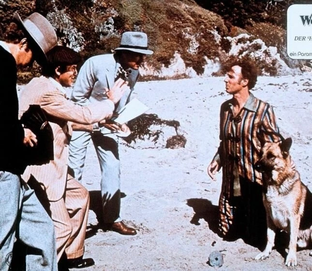Кадр из Вон Тон Тон – собака, которая спасла Голливуд (1976) Кадр из Вон Тон Тон – собака, которая спасла Голливуд (1976)