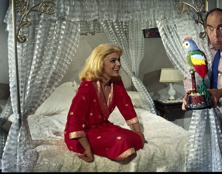 Кадр из Топкапи (1964) Кадр из Топкапи (1964)