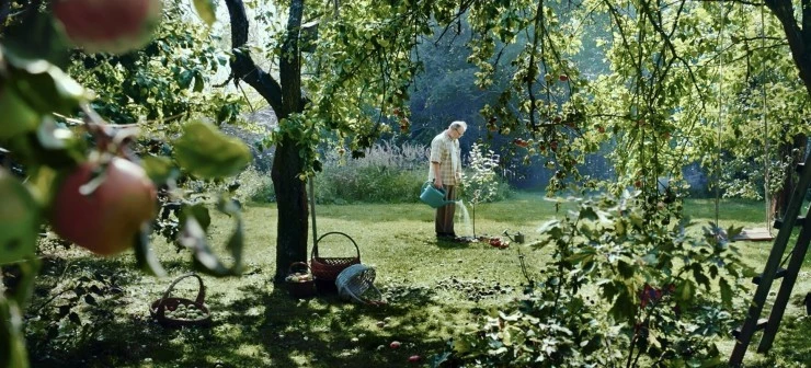 Кадр из Яблоня (2021) Кадр из Яблоня (2021)