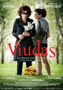 Вдовы / Viudas (2011)