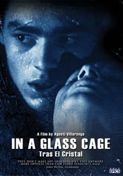 За стеклом / Tras el cristal (1987)