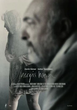 Госпожа Нергиз / Nergis Hanim (2014)