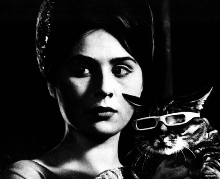 Кадр из Вот придет кот (1963) Кадр из Вот придет кот (1963)