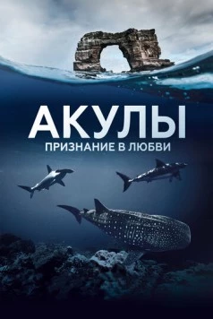 Акулы. Признание в любви / Au plus près des requins (2022)