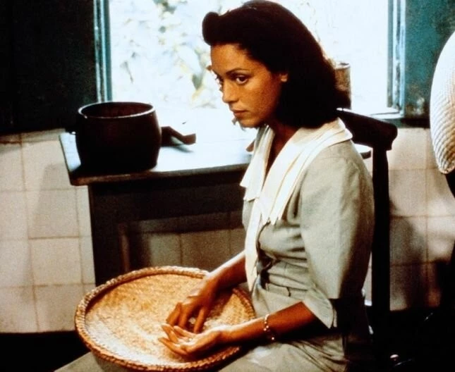 Кадр из Дона Флор и два ее мужа (1976) Кадр из Дона Флор и два ее мужа (1976)