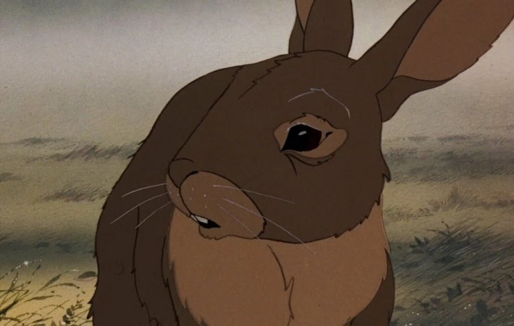 Кадр из Обитатели холмов (1978) Кадр из Обитатели холмов (1978)