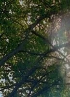 Кадр из Притяжение (2002) Кадр из Притяжение (2002)