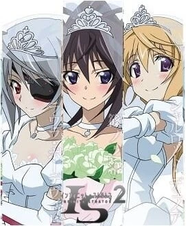 Бесконечные небеса 2: Бесконечные свадьбы / IS: Infinite Stratos 2 - Infinite Wedding (2016)