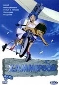 Хаммербой / Mangchi (2003)