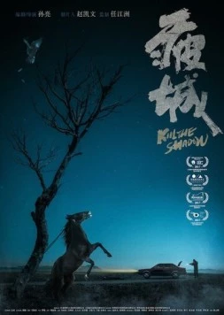 Убей тень / Pi cheng (2017)