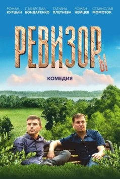 Ревизоры (2025)