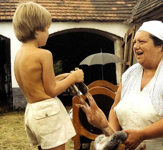 Кадр из Экспериментатор (1984) Кадр из Экспериментатор (1984)