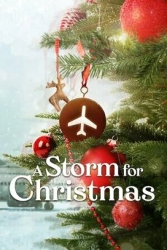Рождественская буря / A Storm for Christmas (2022)