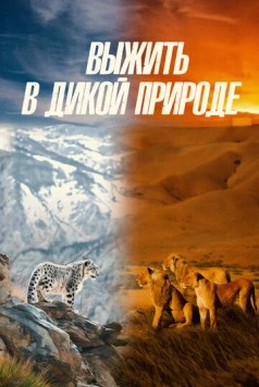 Выжить в дикой природе (2016)