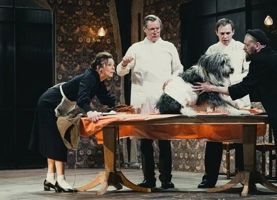Кадр из TheatreHD: Собачье сердце (2025) Кадр из TheatreHD: Собачье сердце (2025)