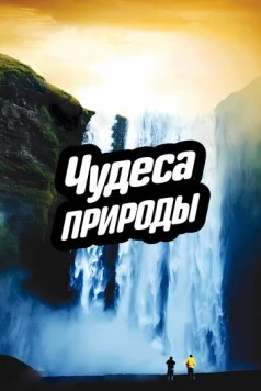 Чудеса природы / Miracles of Nature (2012)