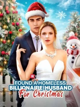 Муж-миллиардер на новогодние праздники / Found a Homeless Billionaire Husband for Christmas (2024)