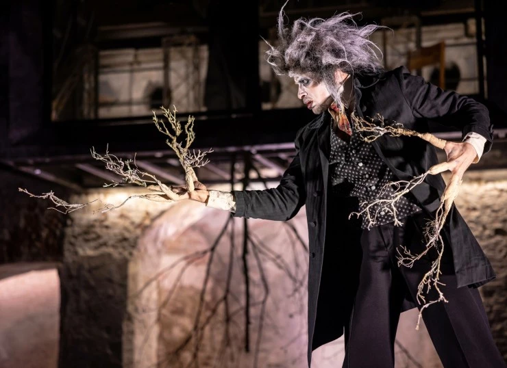 Кадр из TheatreHD: Эгон Шиле. Автопортрет (2024) Кадр из TheatreHD: Эгон Шиле. Автопортрет (2024)