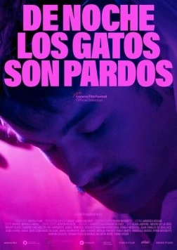 Ночью все кошки коричневые / De noche los gatos son pardos (2022)