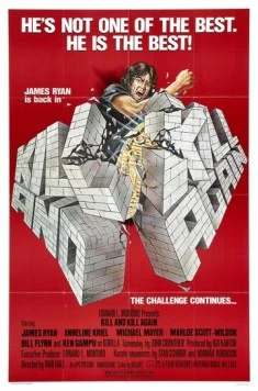 Убить дважды / Kill and Kill Again (1981)