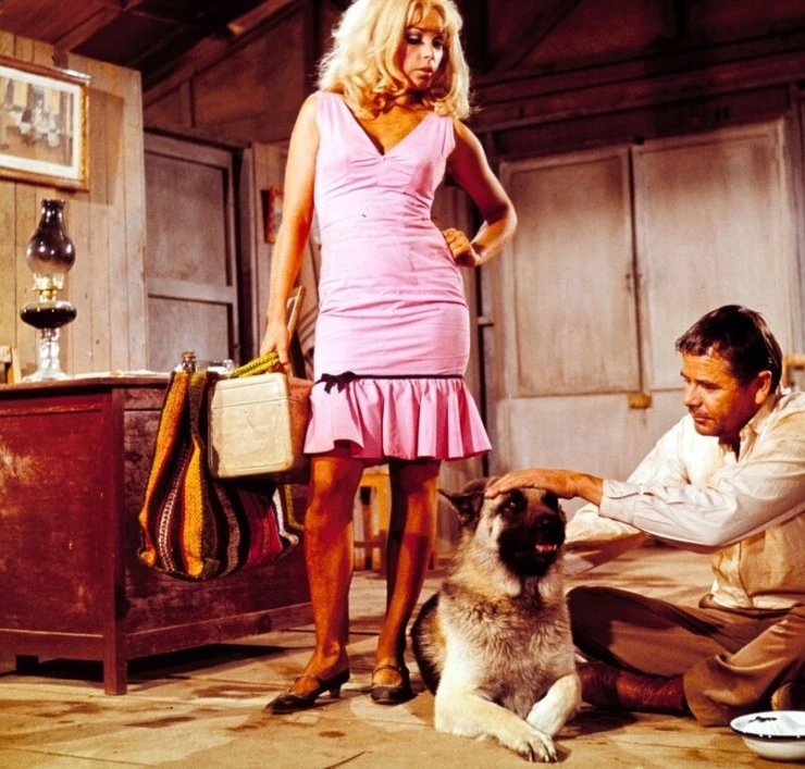 Кадр из Ярость (1966) Кадр из Ярость (1966)