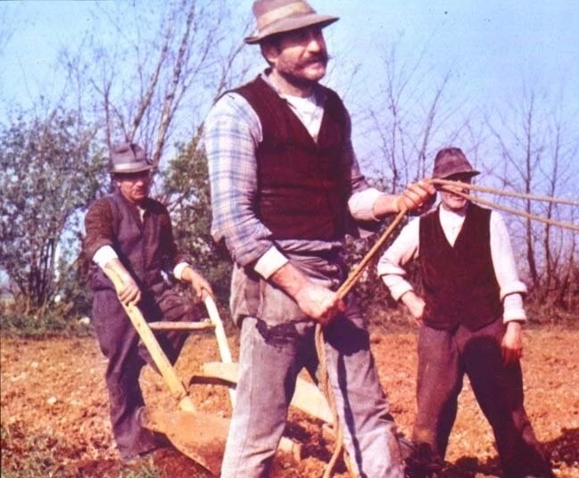 Кадр из Дерево для башмаков (1978) Кадр из Дерево для башмаков (1978)