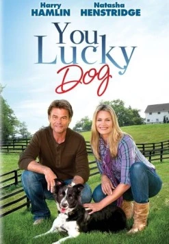 Везучий пёс / You Lucky Dog (2010)