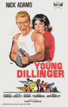 Молодой Диллинджер / Young Dillinger (1965)