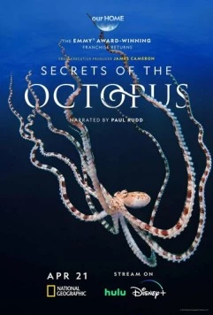 Секреты осьминога / Secrets of the Octopus (2024)